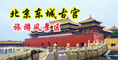 欧洲操逼免费小视频中国北京-东城古宫旅游风景区